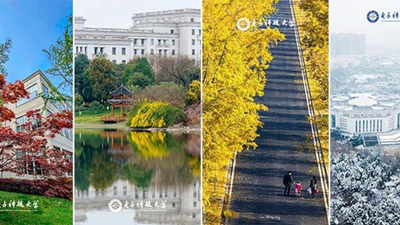 在众多芯片型号中，如何筛选出性价比高的型号呢？以下是一些关键特征：