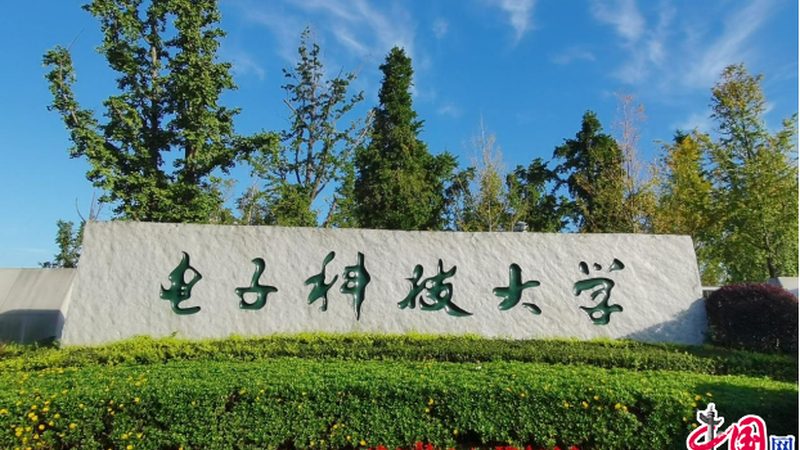 PCB电路板按用途分类，揭秘不同场景下的报价差异