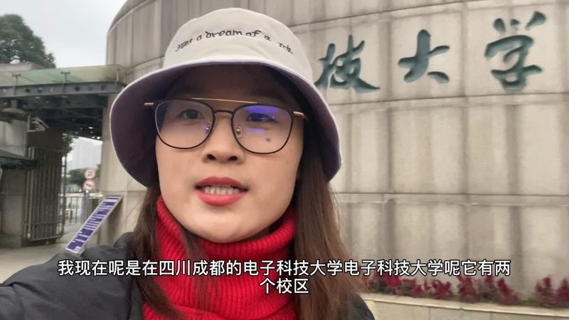 成都芯片研发公司项目案例：揭秘芯片研发背后的技术密码